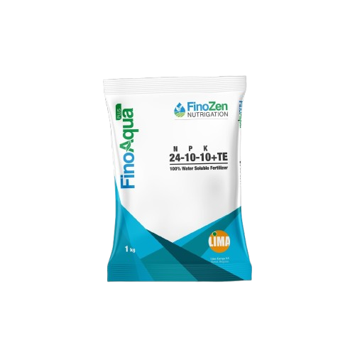 NPK Fertilizers