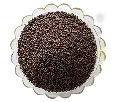 Mustard KSP 5470