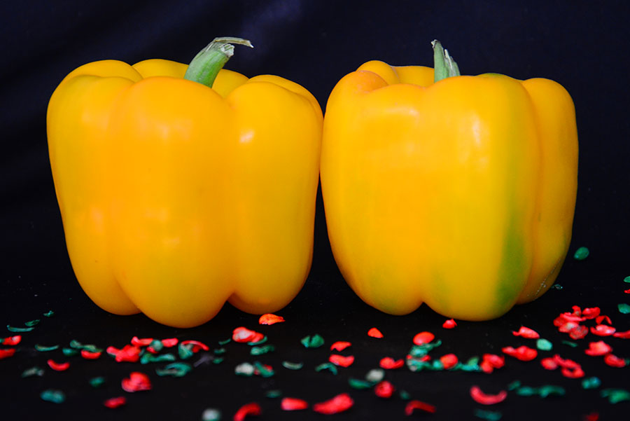 Capsicum