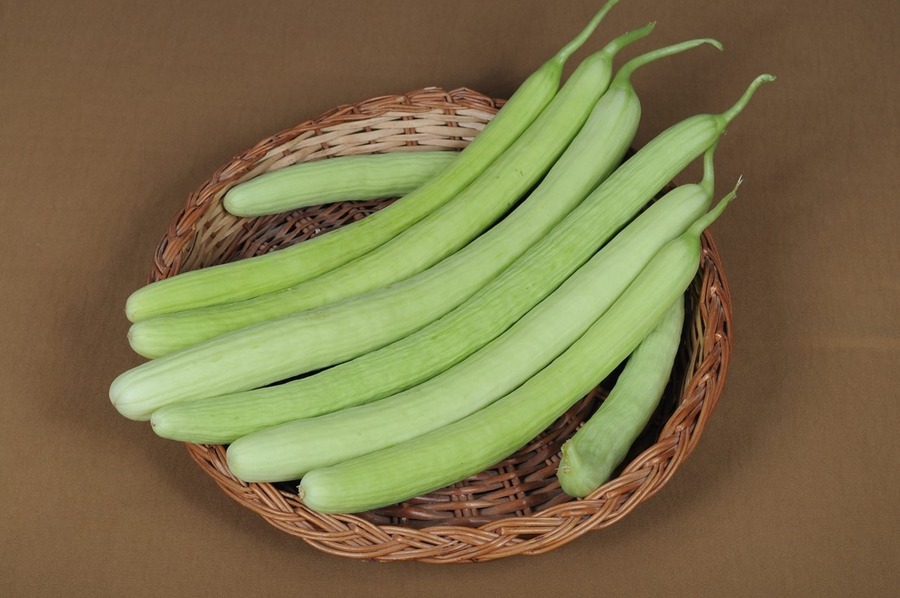 Cucumber