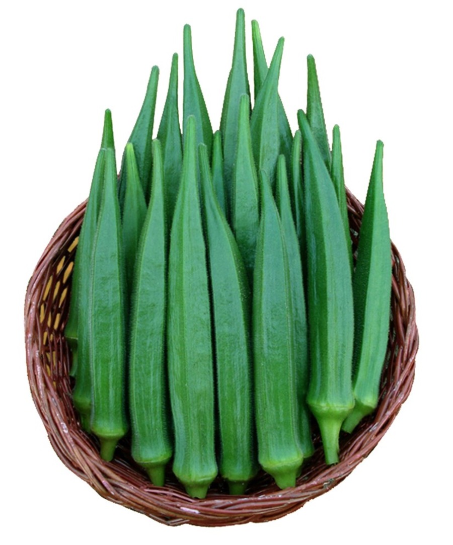 Bhendi