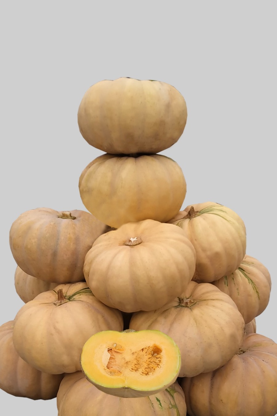 Pumpkin