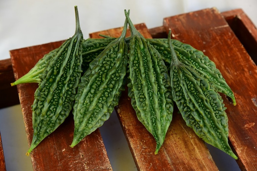 Bitter Gourd