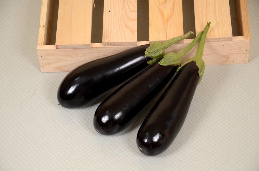 Brinjal