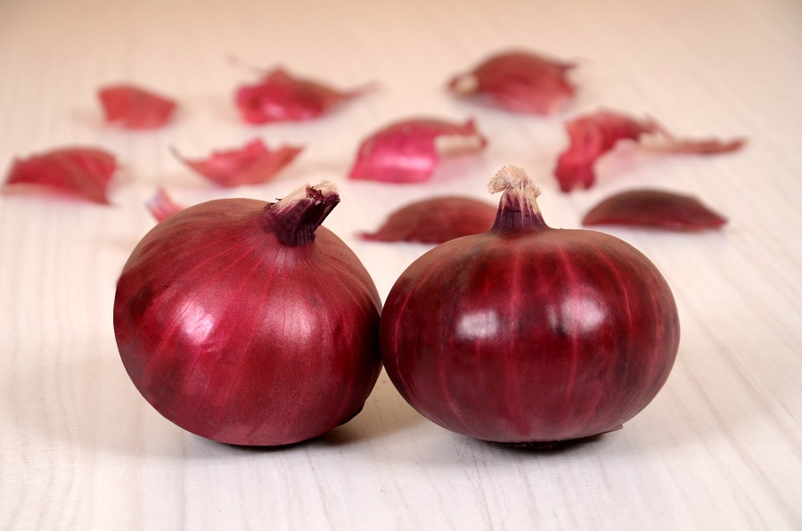 Onion