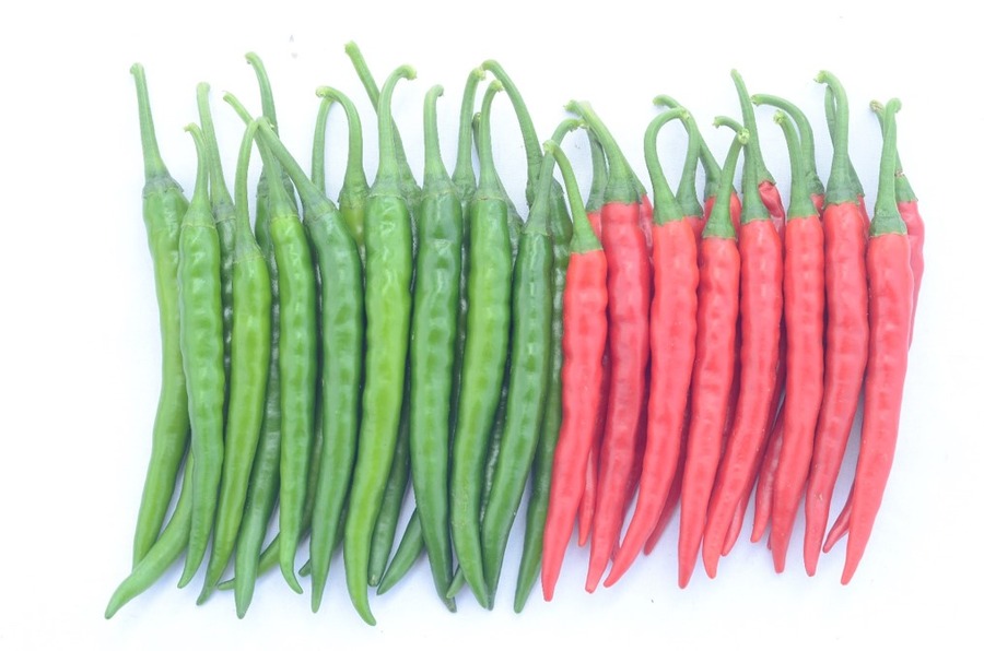 Chilli