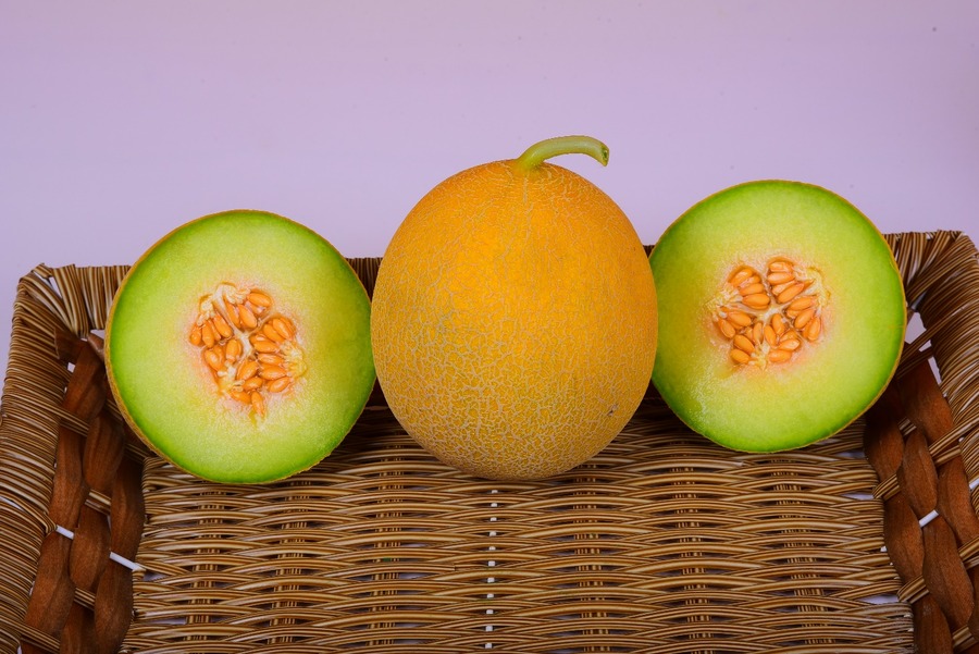 Muskmelon KSP 1751 Sunrise