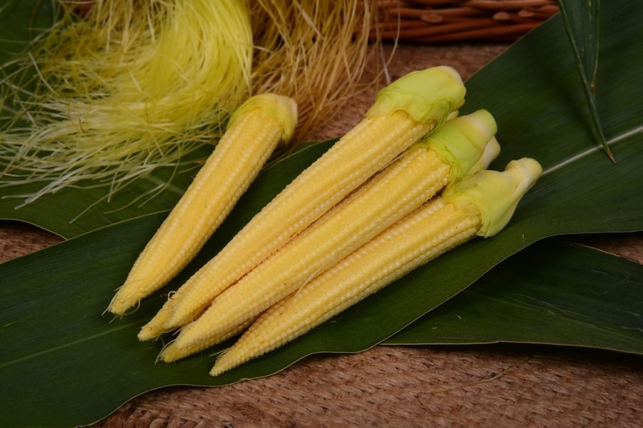 Baby Corn