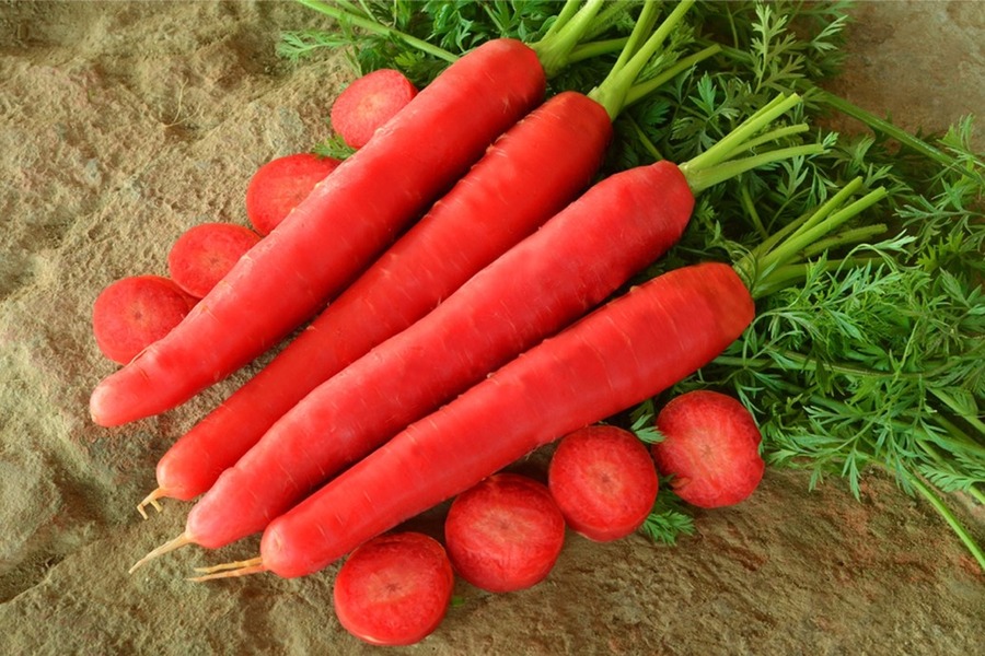 Carrot